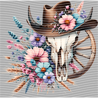 Country music-CU 737